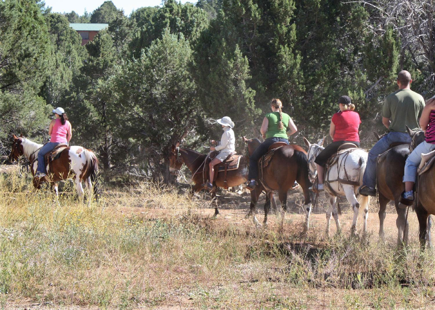 Zion Ponderosa Ranch Resort Springdale Luaran gambar